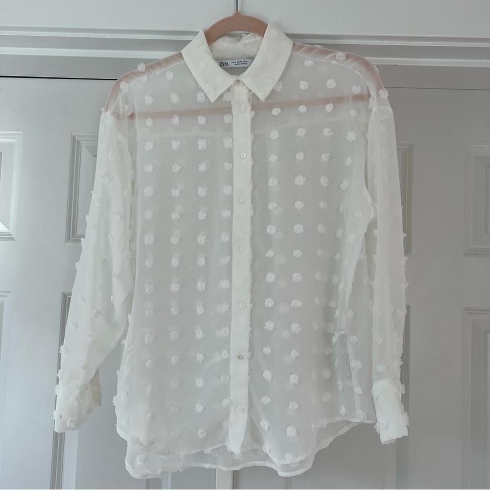 Beautiful Sheer Polka Dot Shirt